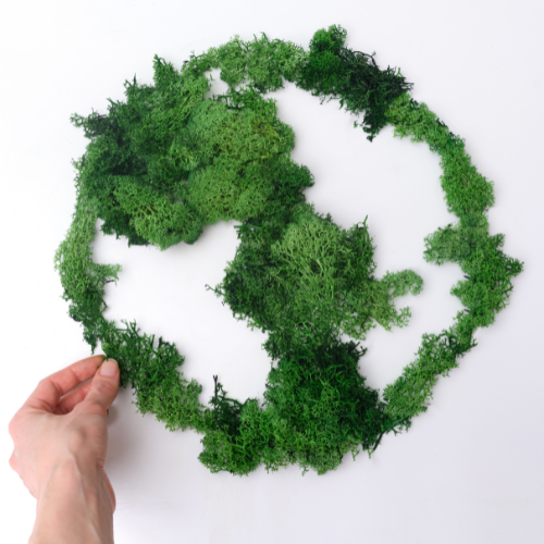 Eco